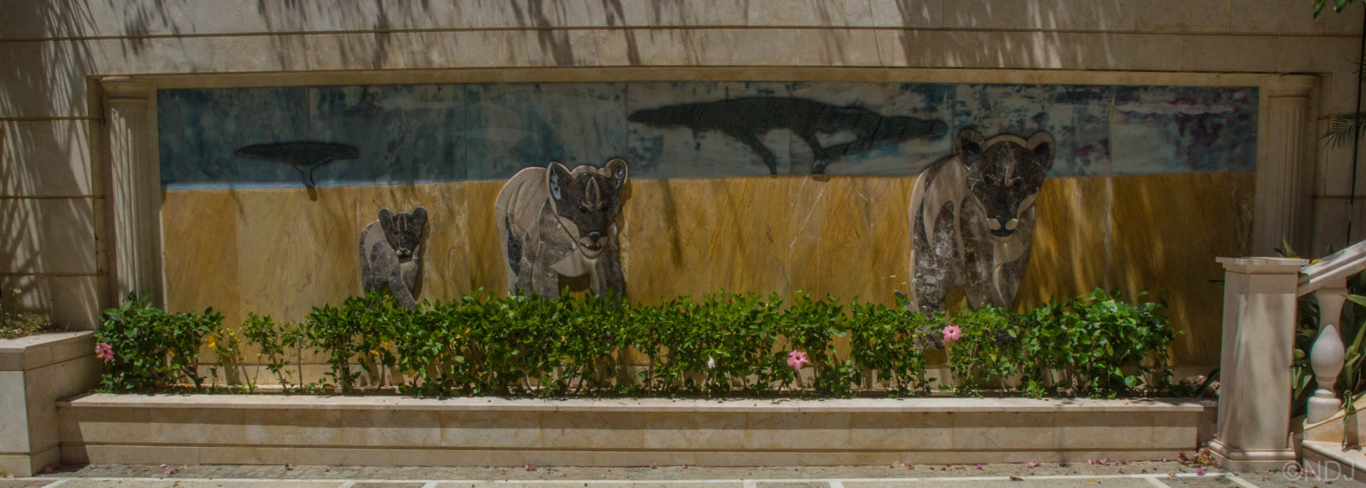 Mural diseño leones